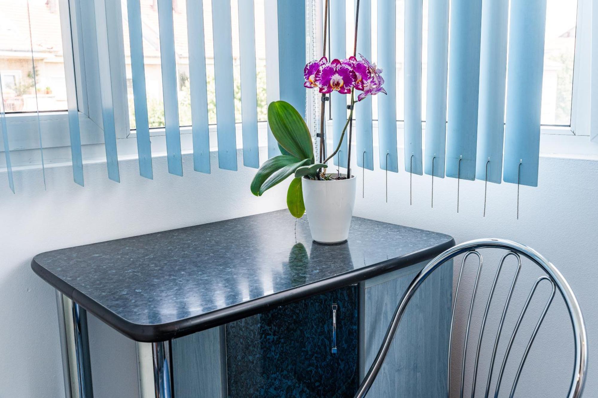 Arad Central Joy - Mihaela Apartment מראה חיצוני תמונה